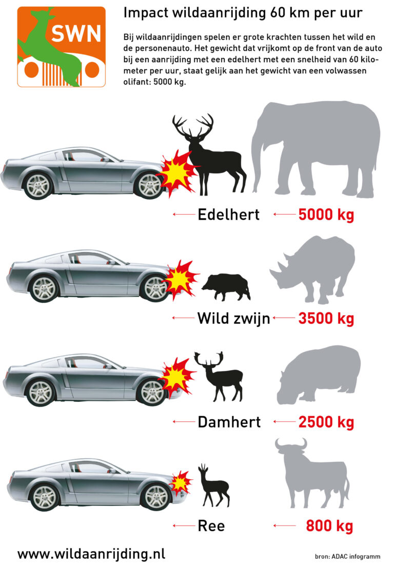 De Wildreflector Wildredder.nl